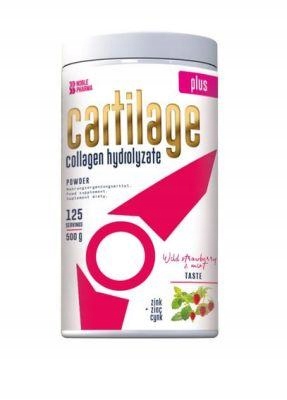 Noble Pharma Cartilage Plus jahoda 500g