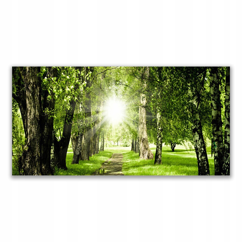 

Fotoobraz akryl 140x70 Las Słońce Ścieżka Natura