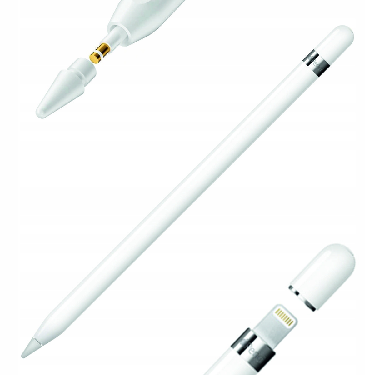 Rysik Apple Pencil | A1603 | 1 generacji | - Sklep, Opinie, Cena w