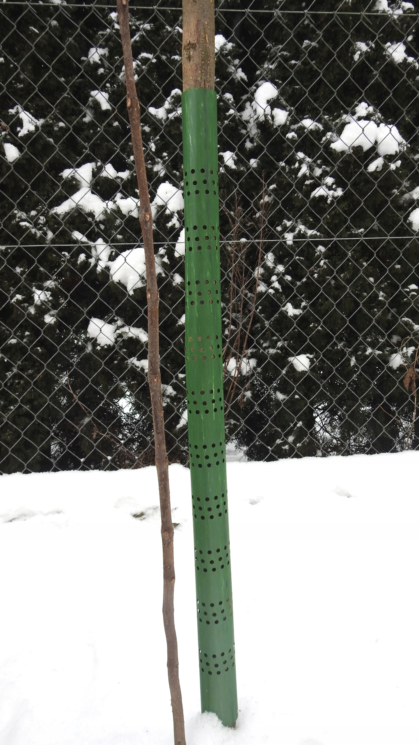 OSŁONKA NA DRZEWKA OPASKA NA PIEŃ 80 cm ! 5szt Rodzaj inny