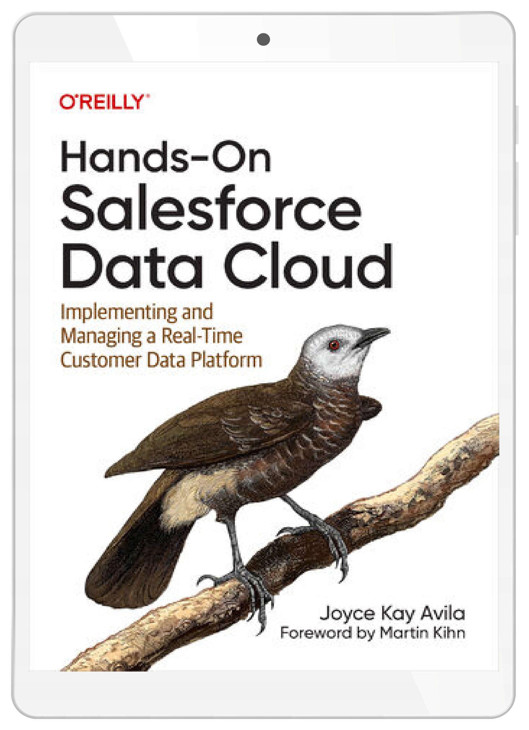 Hands-On Salesforce Data Cloud