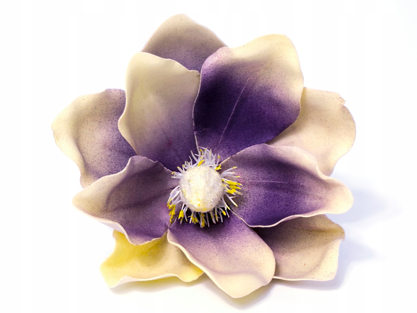 MAGNOLIA PIANKOWA DUŻA GŁÓWKA NA PIKU LILAC CREAM