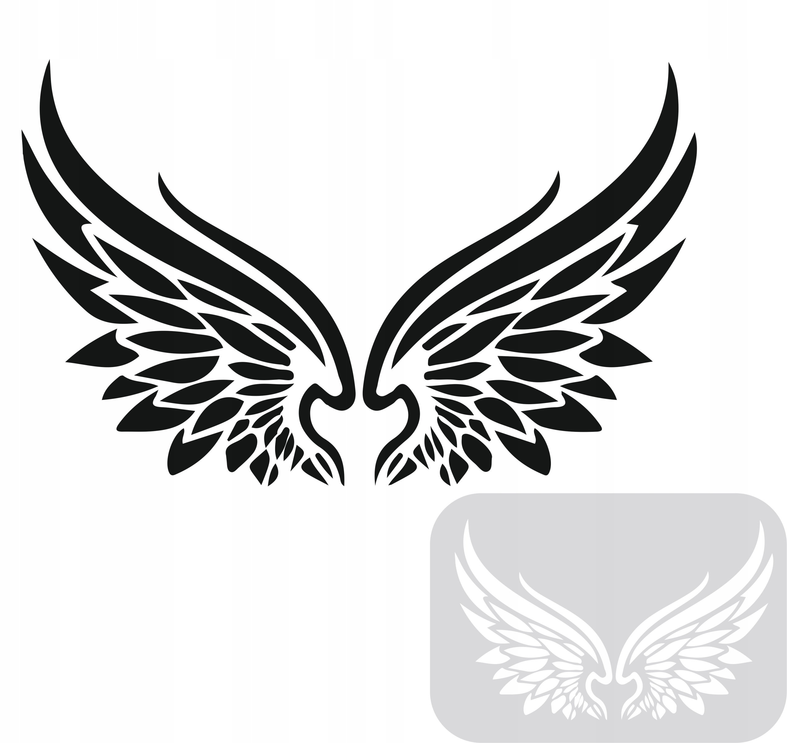 Maliarske šablóny, šablóna na maľovanie, Krídla