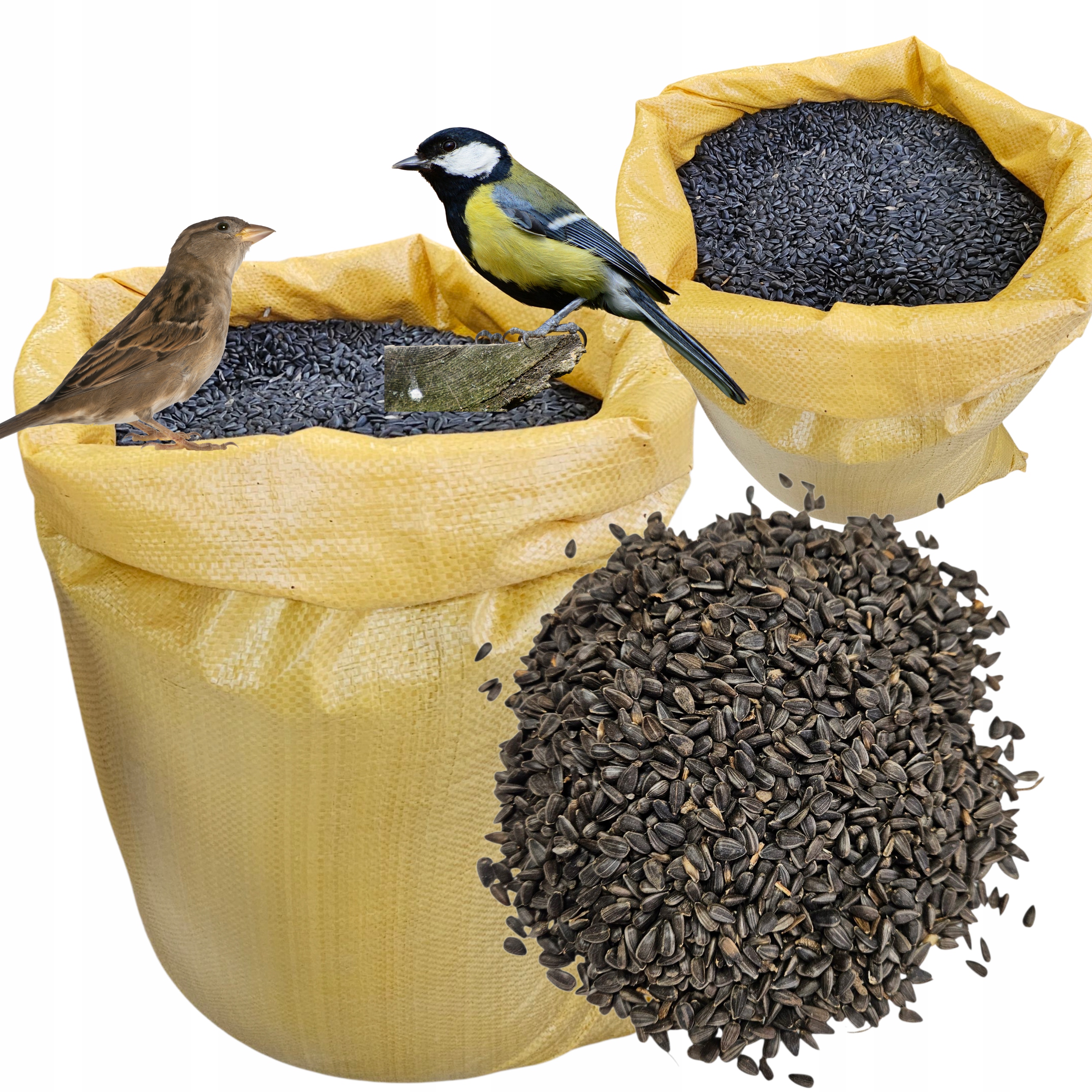 Levně Slunečnice Černá Krmivo Semena Pro Volně Žijící Ptáky 20KG