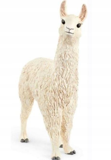 

Lama