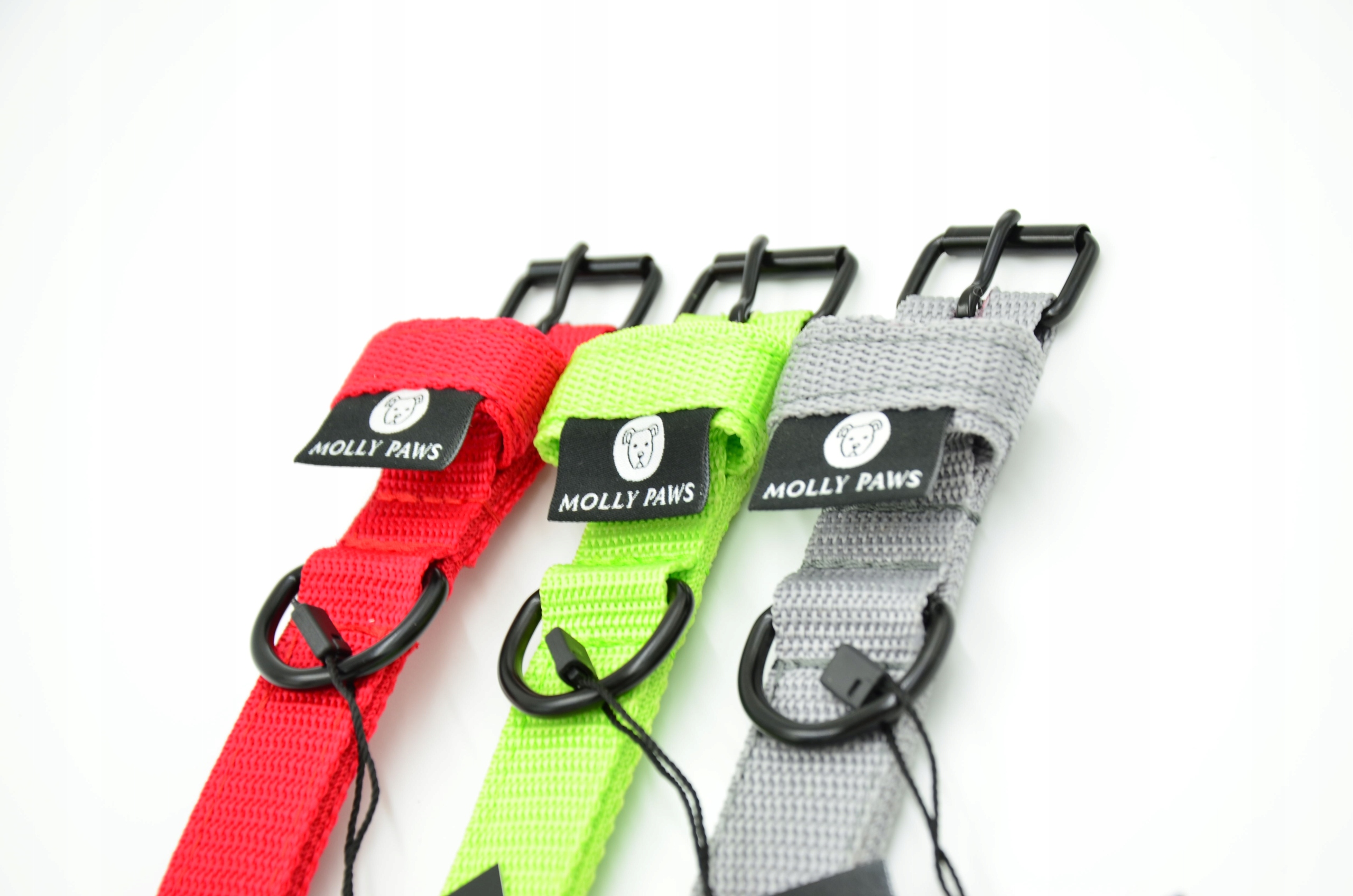 Levně Obojek pro malého psa Lehký Spousta Barev, velikost 42 cm – 48 cm, tolerance +/- 1 cm