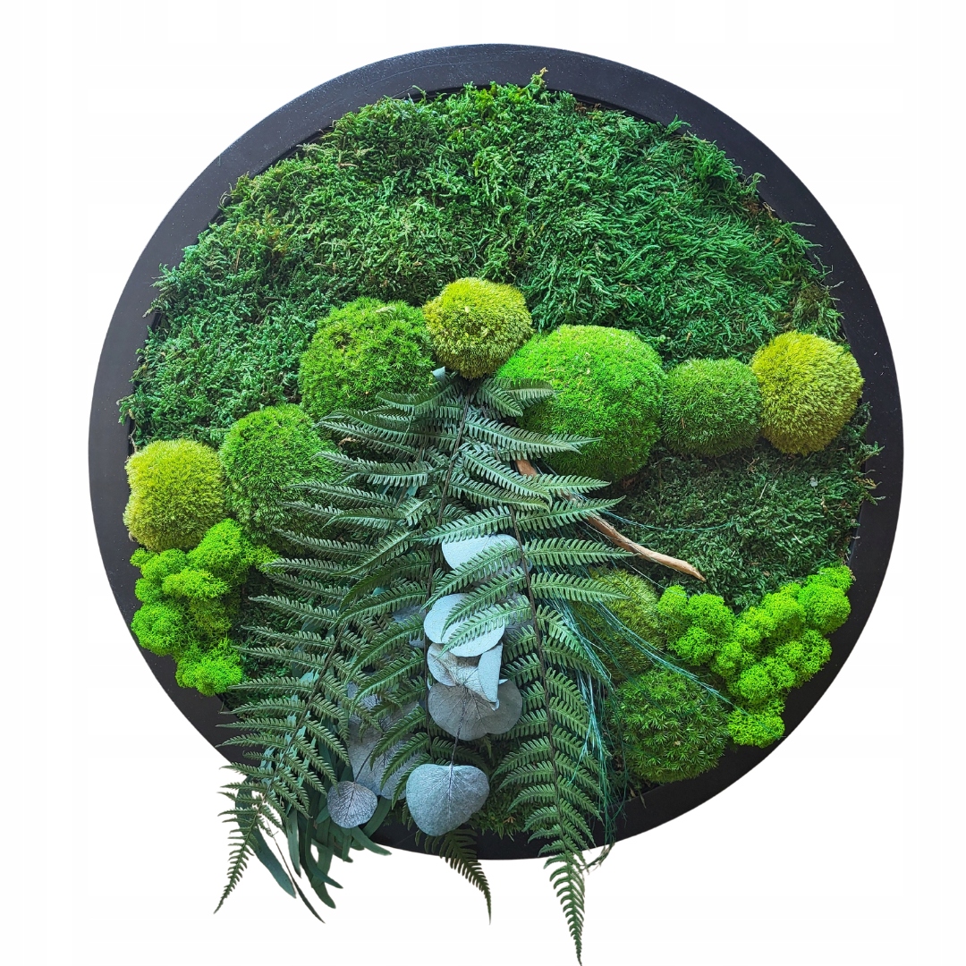 Okrągły obraz z mchu i roślin, chrobotek