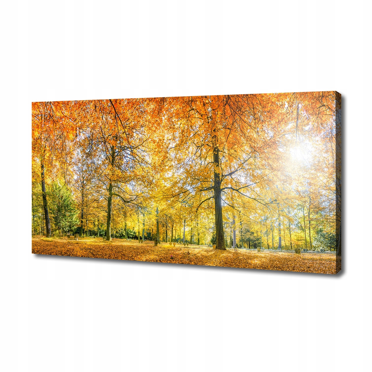 Fotoobraz velký na plátně Les na podzim 140x70 cm