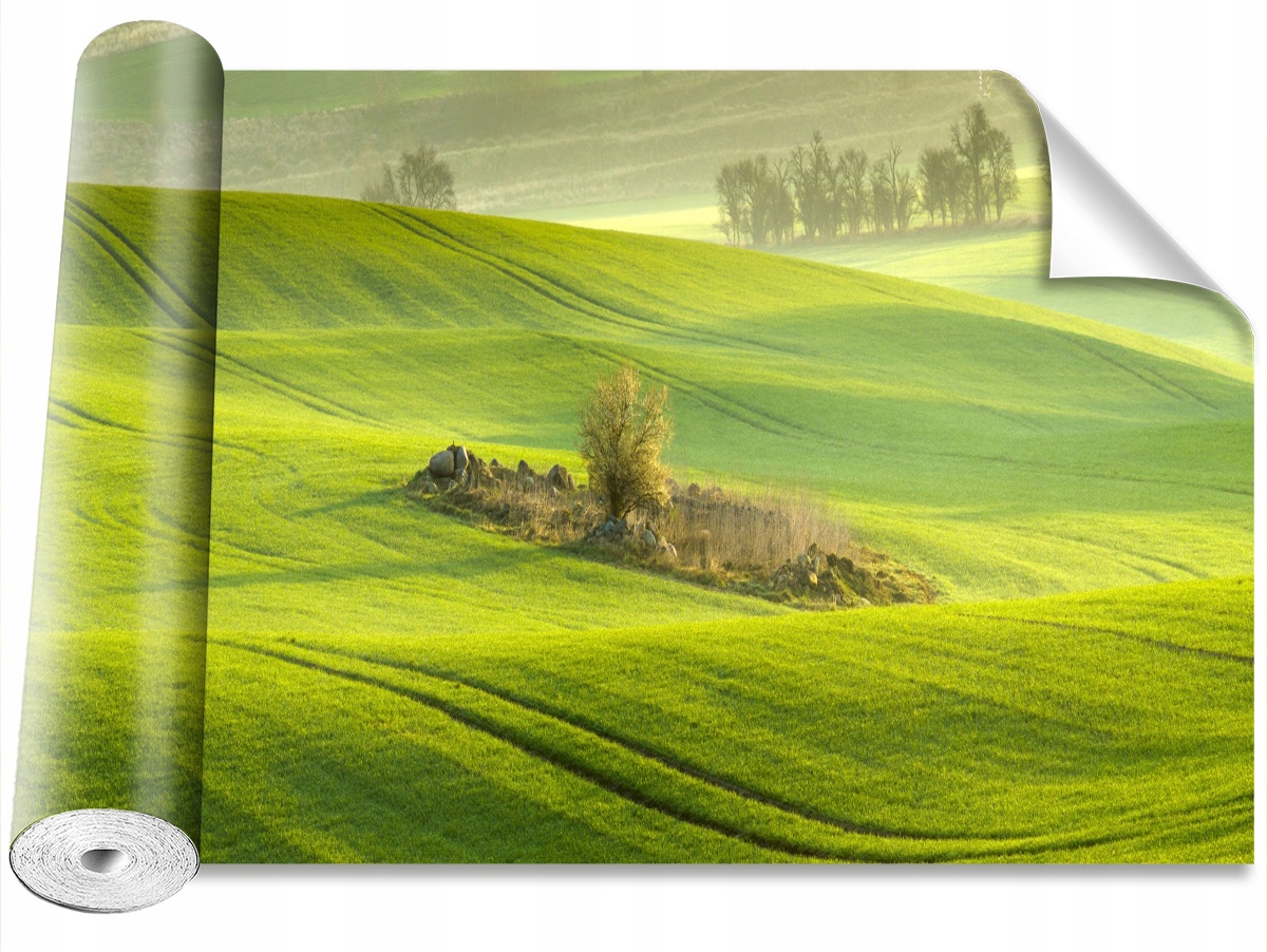

Fototapeta Samoprzylepna Pole kukurydzy 208x146