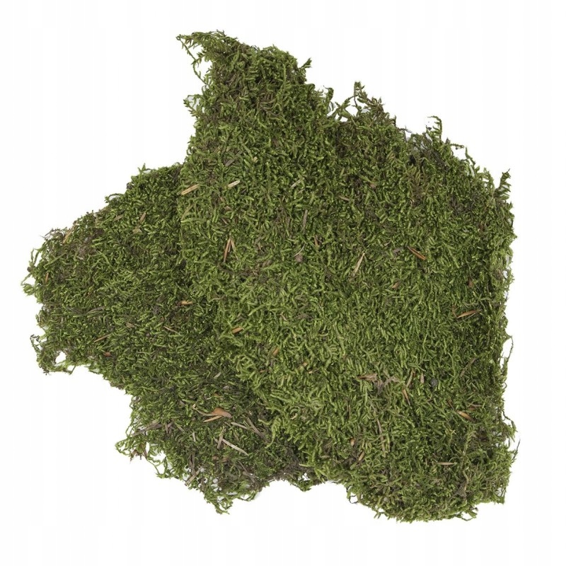 

Podłoże do terrarium mech 100g (kraj poch Turcja)