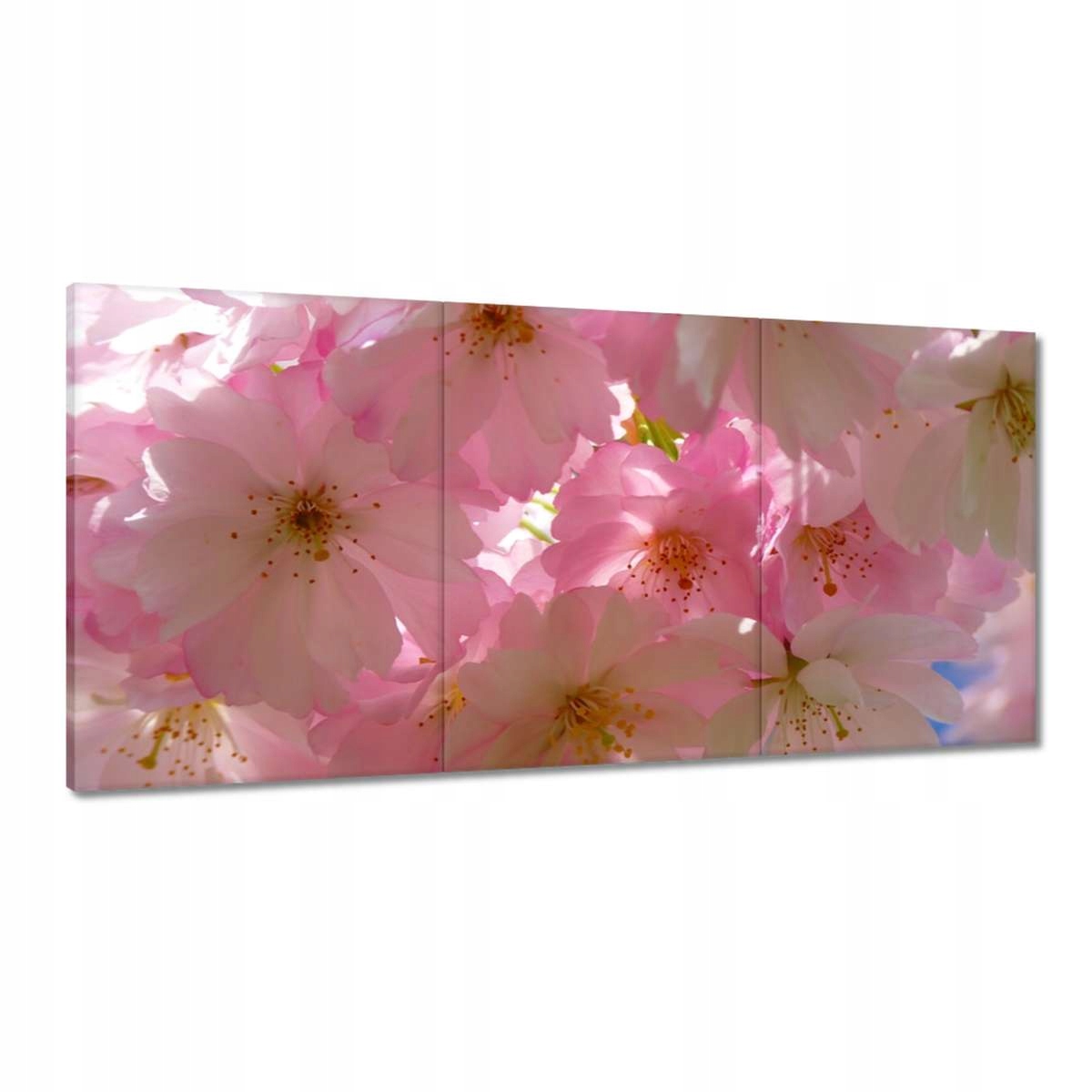 Obrazy 180x90 Jemné kvety