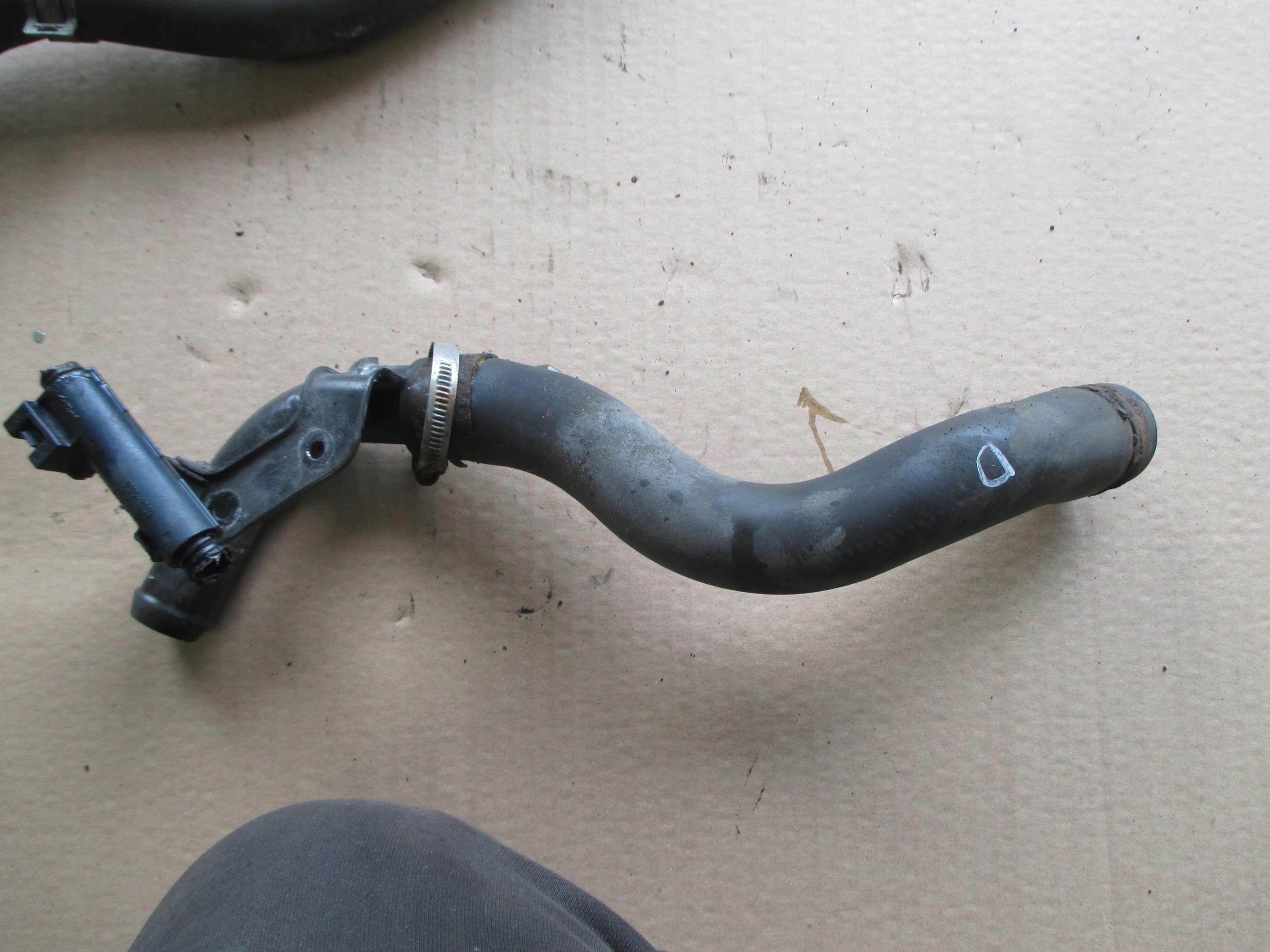 CIVIC VIII HYBRID 06-11 WĄŻ CHŁODNICY DOLNY