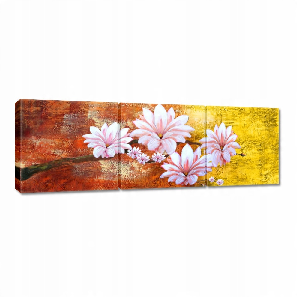 

Obrazy 120x40 Gałązka magnolii kwiaty