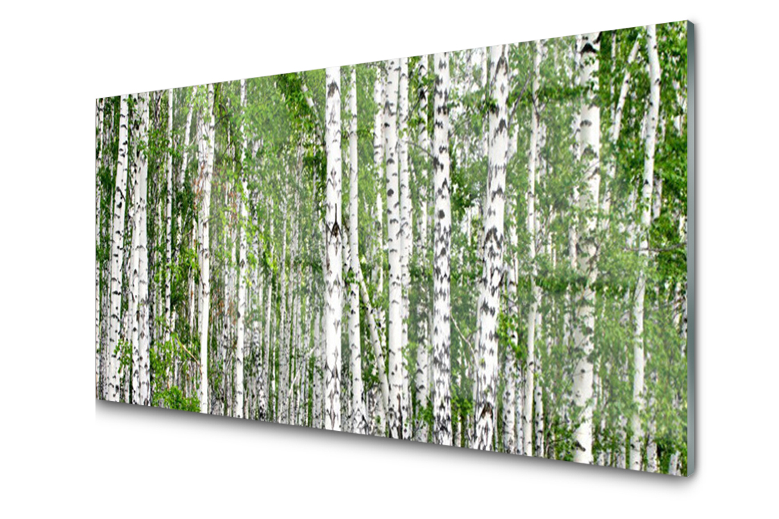 

Panel szklany ścienny Brzoza Las Drzewa 140x70
