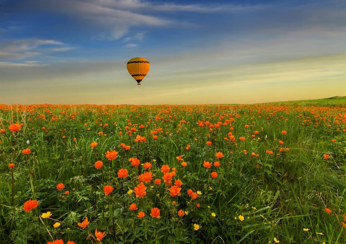 

Tapeta flizelinowa Łąka Balon 312x219