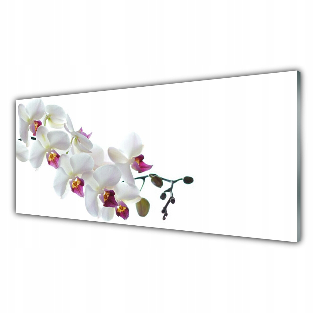 

Obraz wiszący ścienny 125x50 Kwiaty Roślina Natura