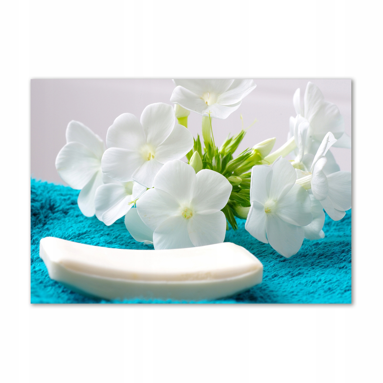 

Foto obraz szklany Białe kwiaty spa 100x70