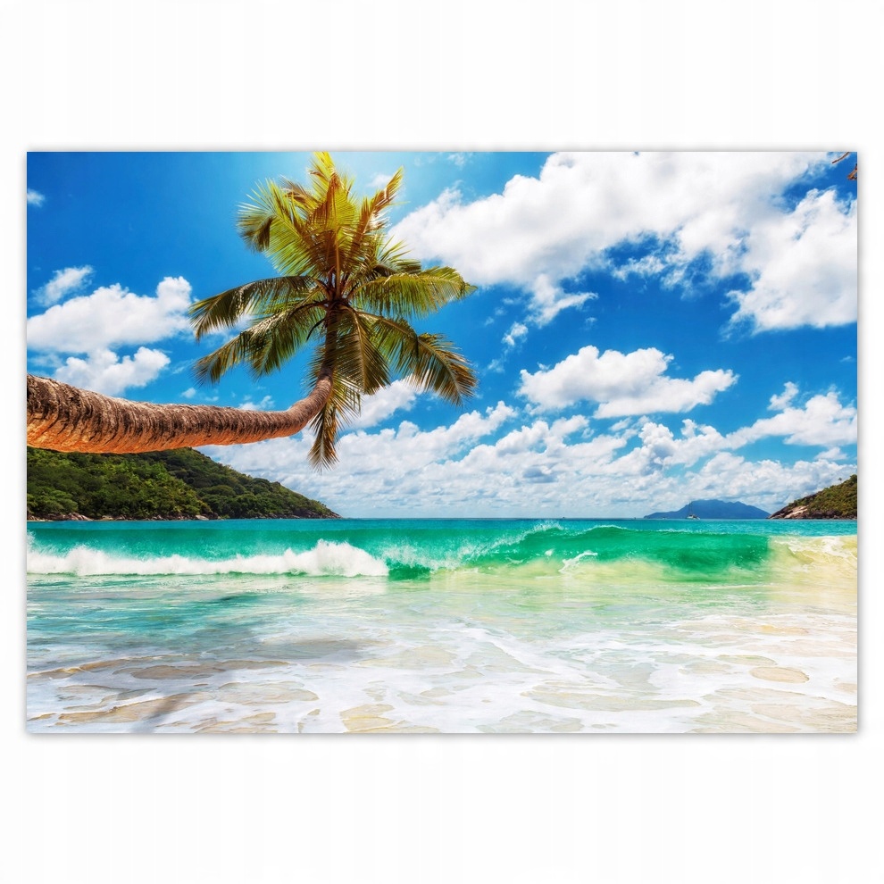 

Naklejki 100x70 Tropiki Palmy Plaża