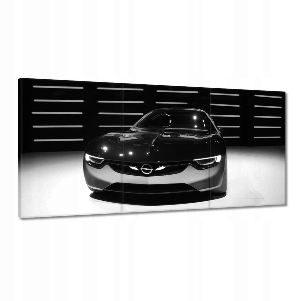Obrazy 120x60 Opel