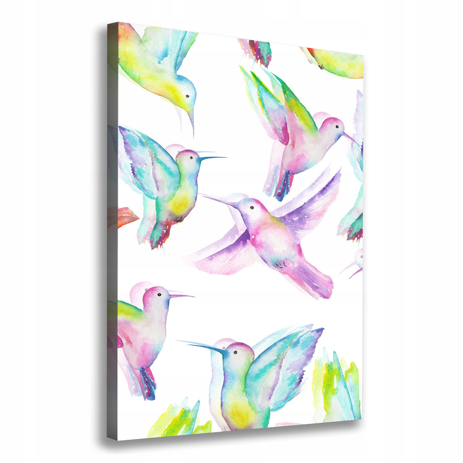

Foto obraz na płótnie Kolorowe kolibry 70x100 cm