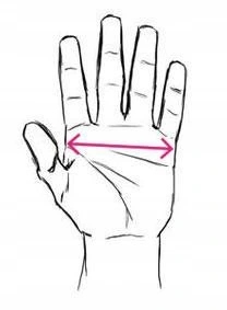 Rękawice Rękawiczki zimowe termoaktywne do biegania dotykowe POLEDNIK Rozmiar L