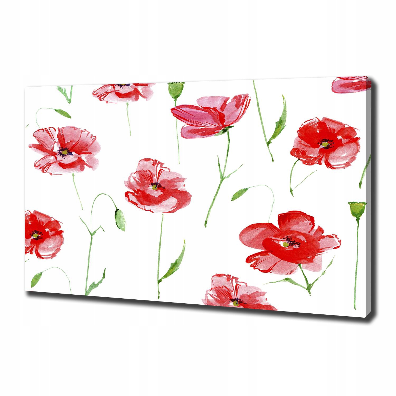 

Nowoczesny obraz na płótnie zdjęcie Maki 100x70 cm