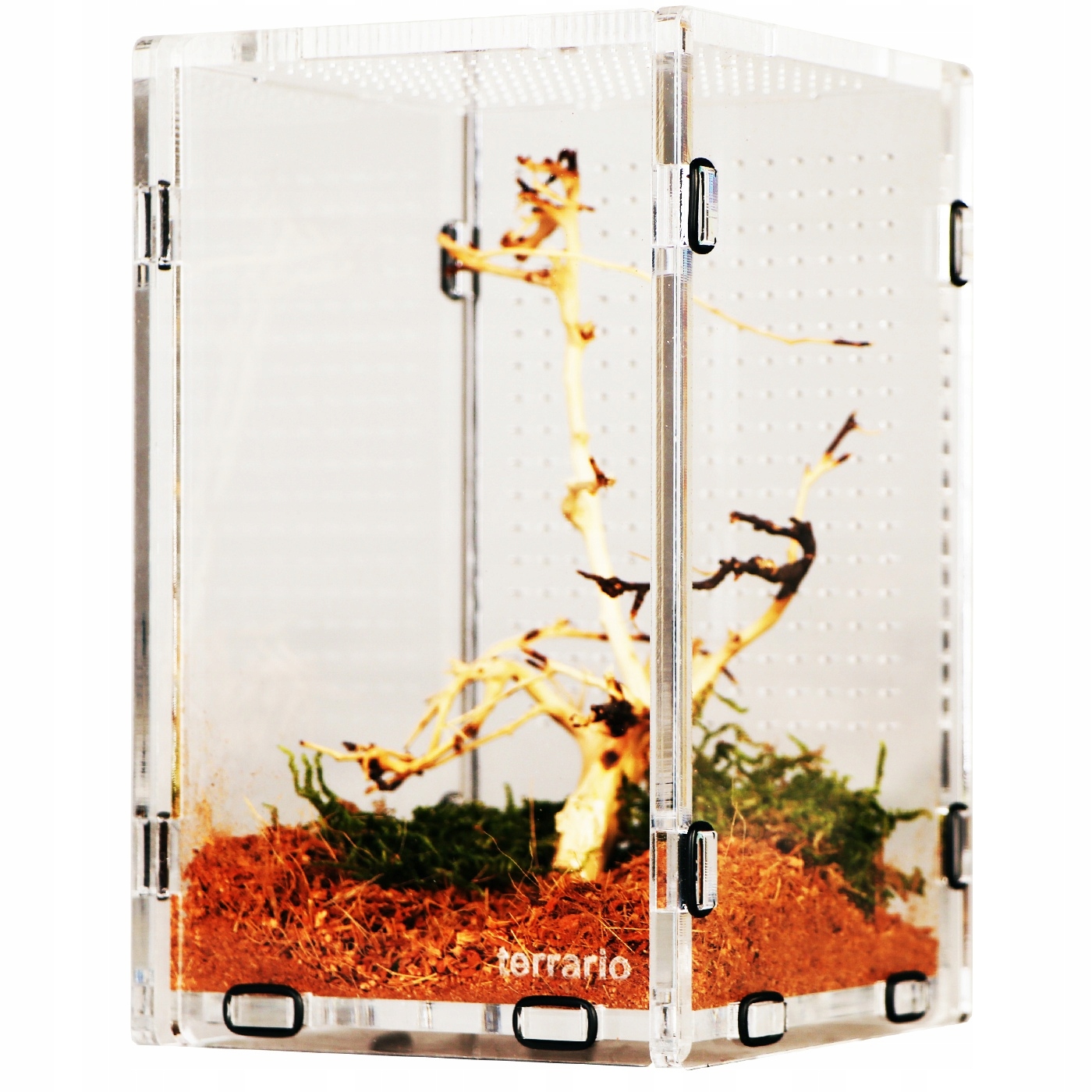 Levně Akrylové Terárium Pro Modlíšky Hmyzu Terrario Mantis Area L