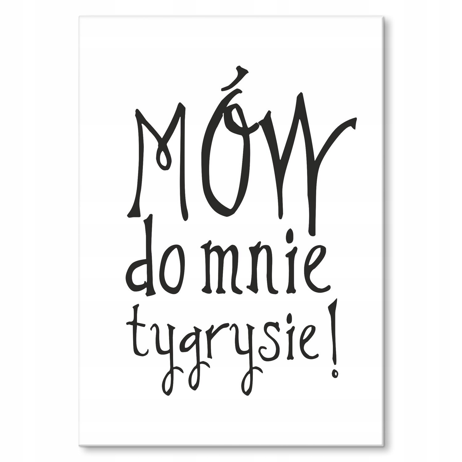 Kovový plakát Říkej mi tygří Dárek 30 x 42 cm