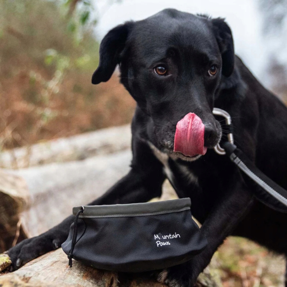 Levně Skládací turistická miska na krmení psa Mountain Paws