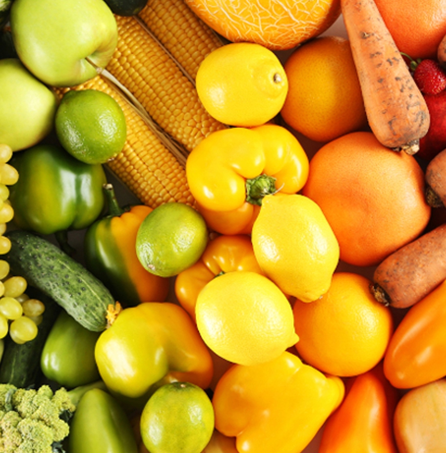 Ziemia Podłoże do Wysiewu Pikowania 48SZT PALETA Marka Agaris