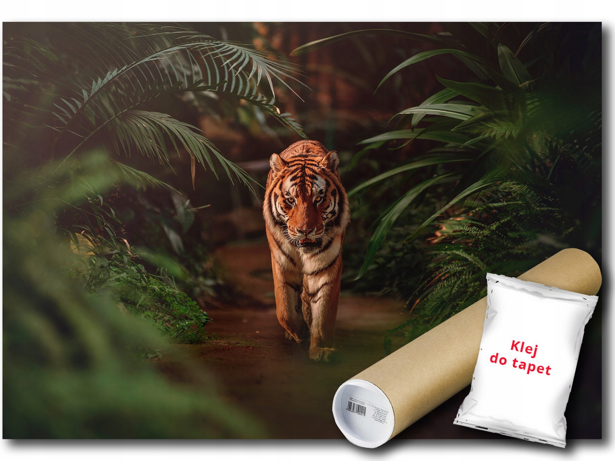 Vinylová Fototapeta Tiger Mačka Džungľa 416x254
