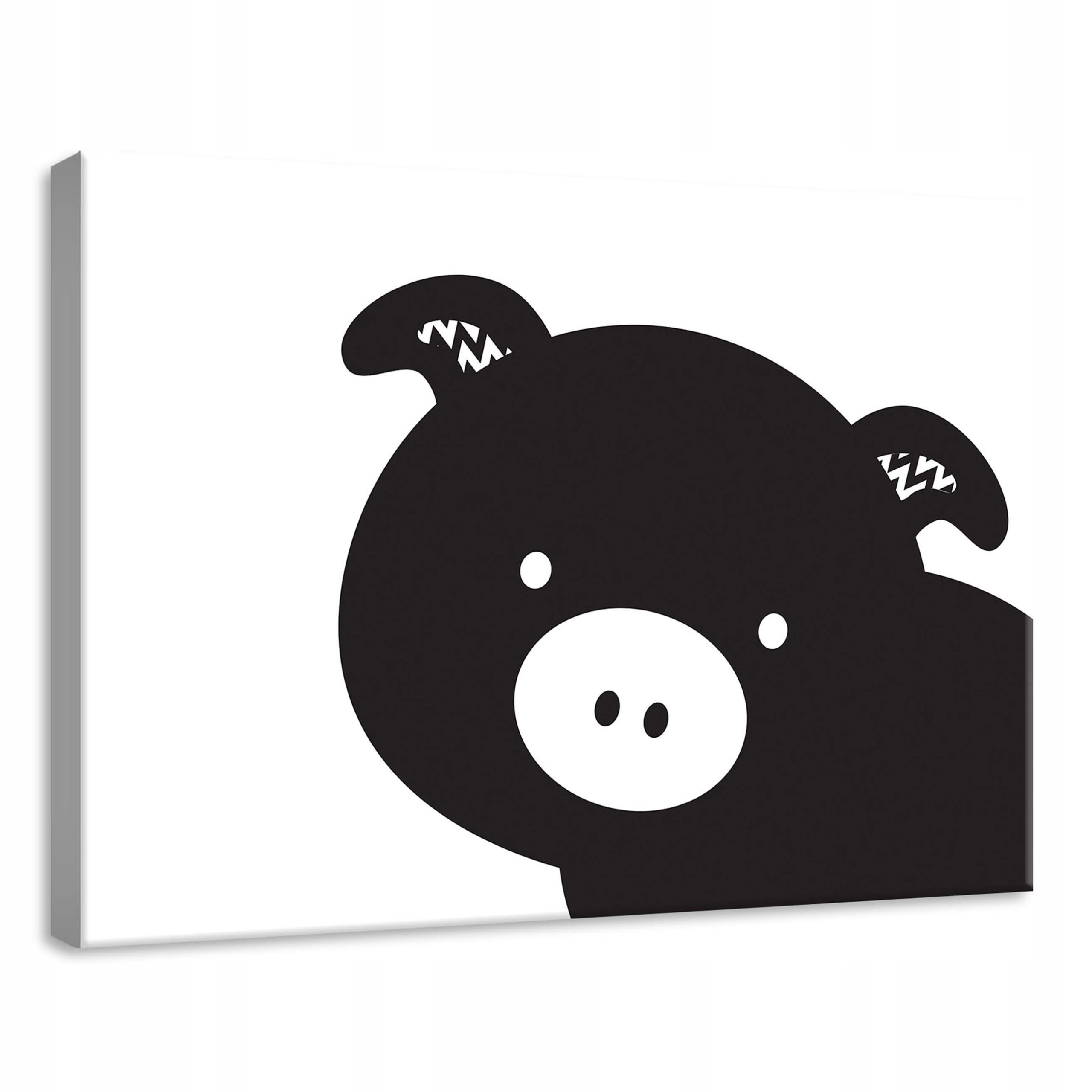 Obraz 70x50 Prase, černobílé zvíře, minimalismus, roztomilé, jednoduché