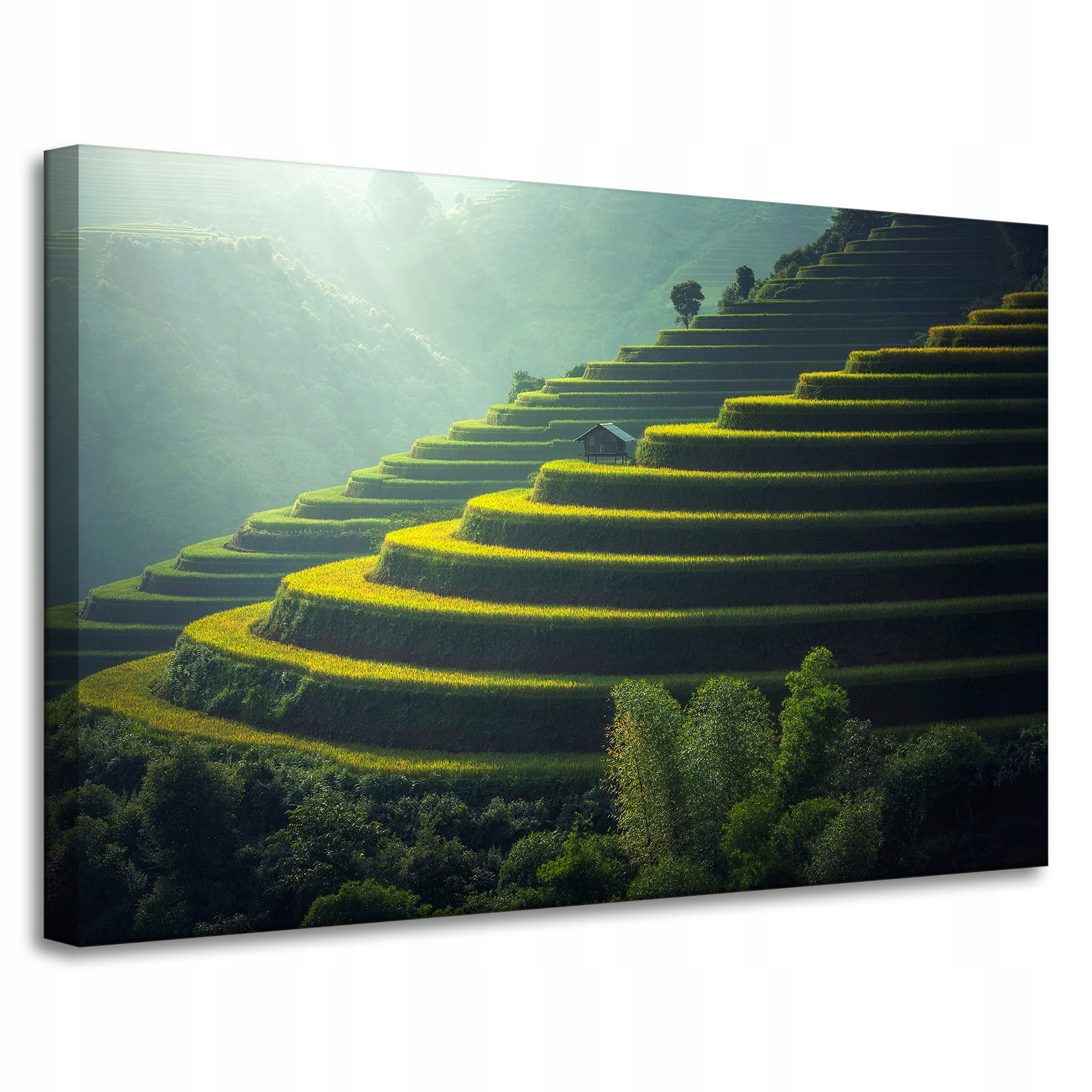 Obraz na plátně Příroda Terasy Zemědělství 90x60 cm