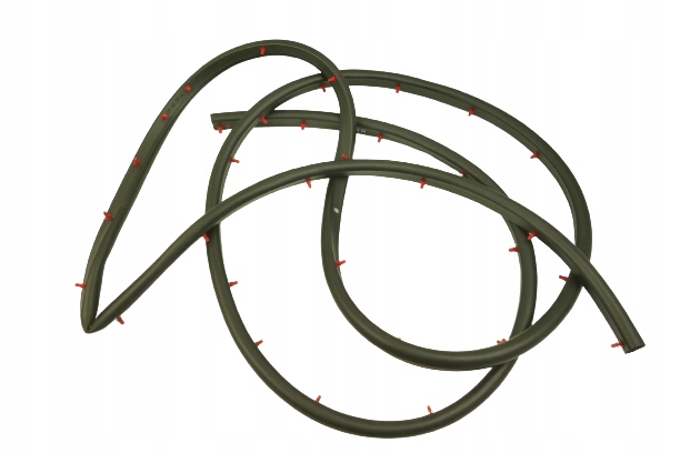 Уплотнение двери Dodge Ram 55346676Ai