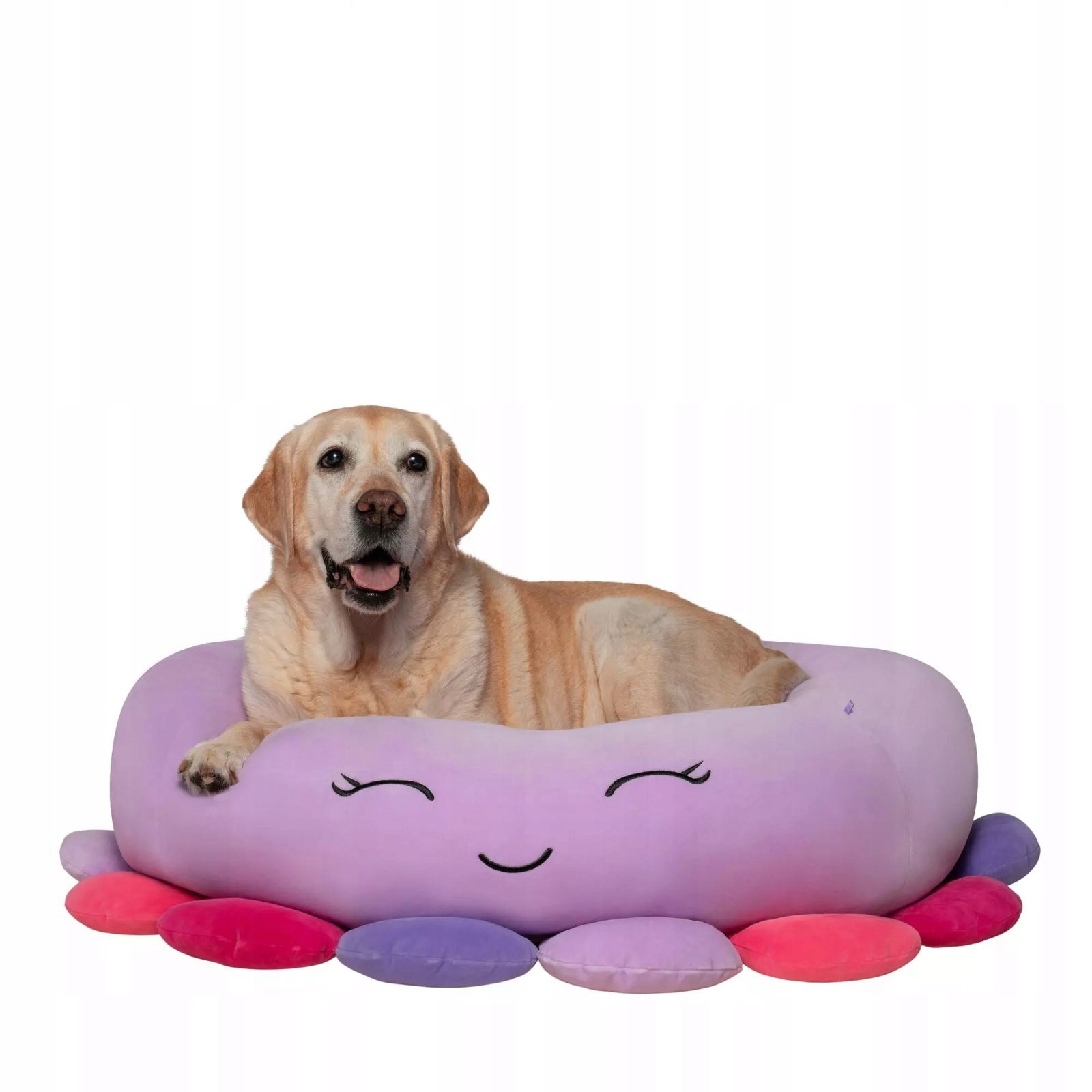 Jas Pets Pelíšek L 76 CM Chobotnice