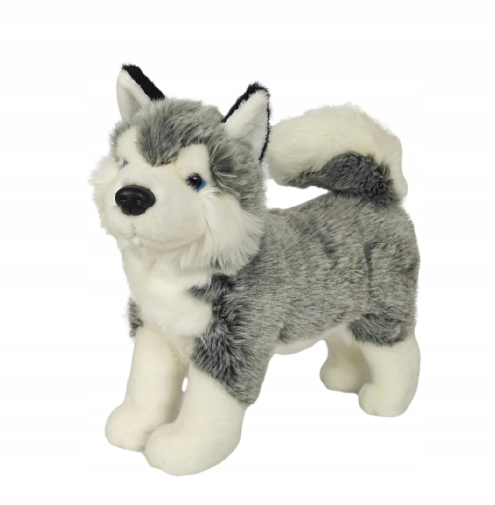 

Maskotka Pluszowy Pies Husky 32 cm piesek Pluszak