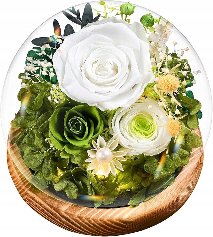 Stabilizovaná Růže pod Led zvonkem – Dárek ke dni svatého Valentýna