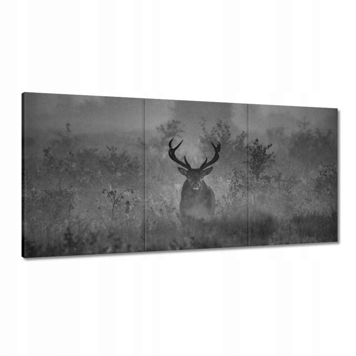 Obrazy 180x90 Jeleň v hmle