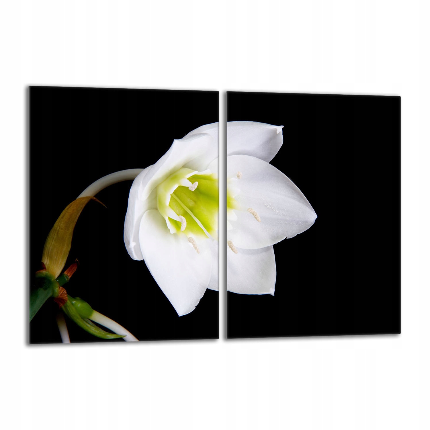 Skleněná ochranná deska na sporák 40x52 Orchidej Do Kuchyně