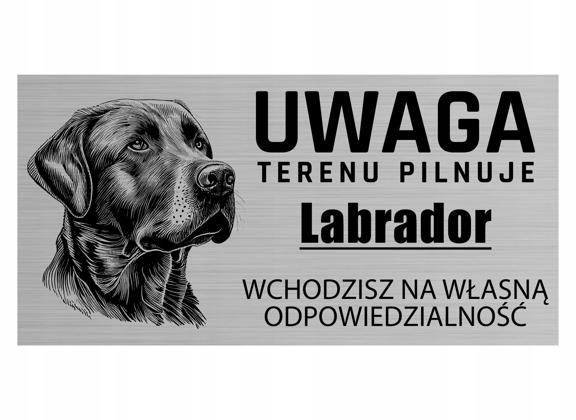 

Tabliczka Uwaga Pies Terenu Pilnuje Labrador