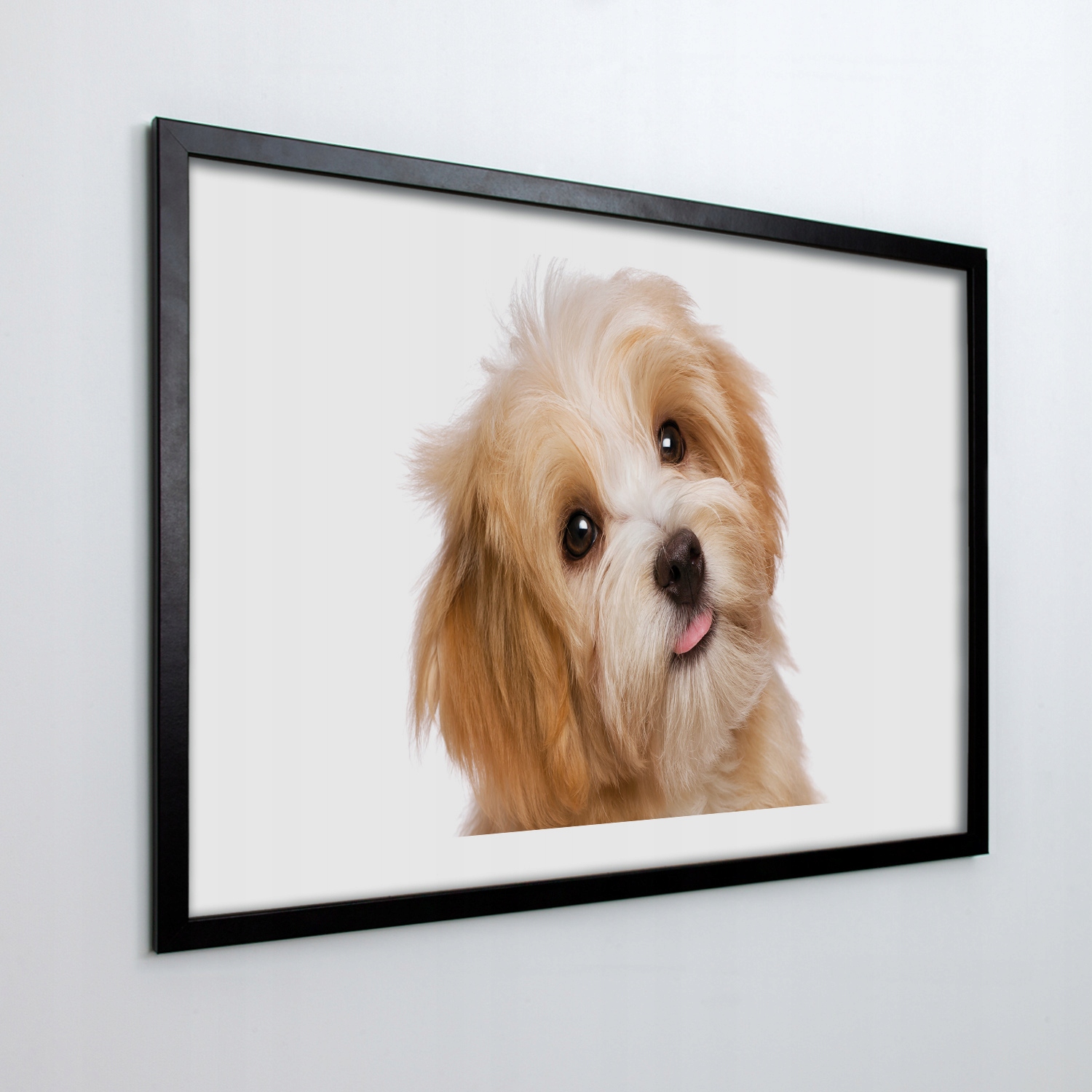 Obraz na stenu s rámom mdf Tráva makro rosa 100x70