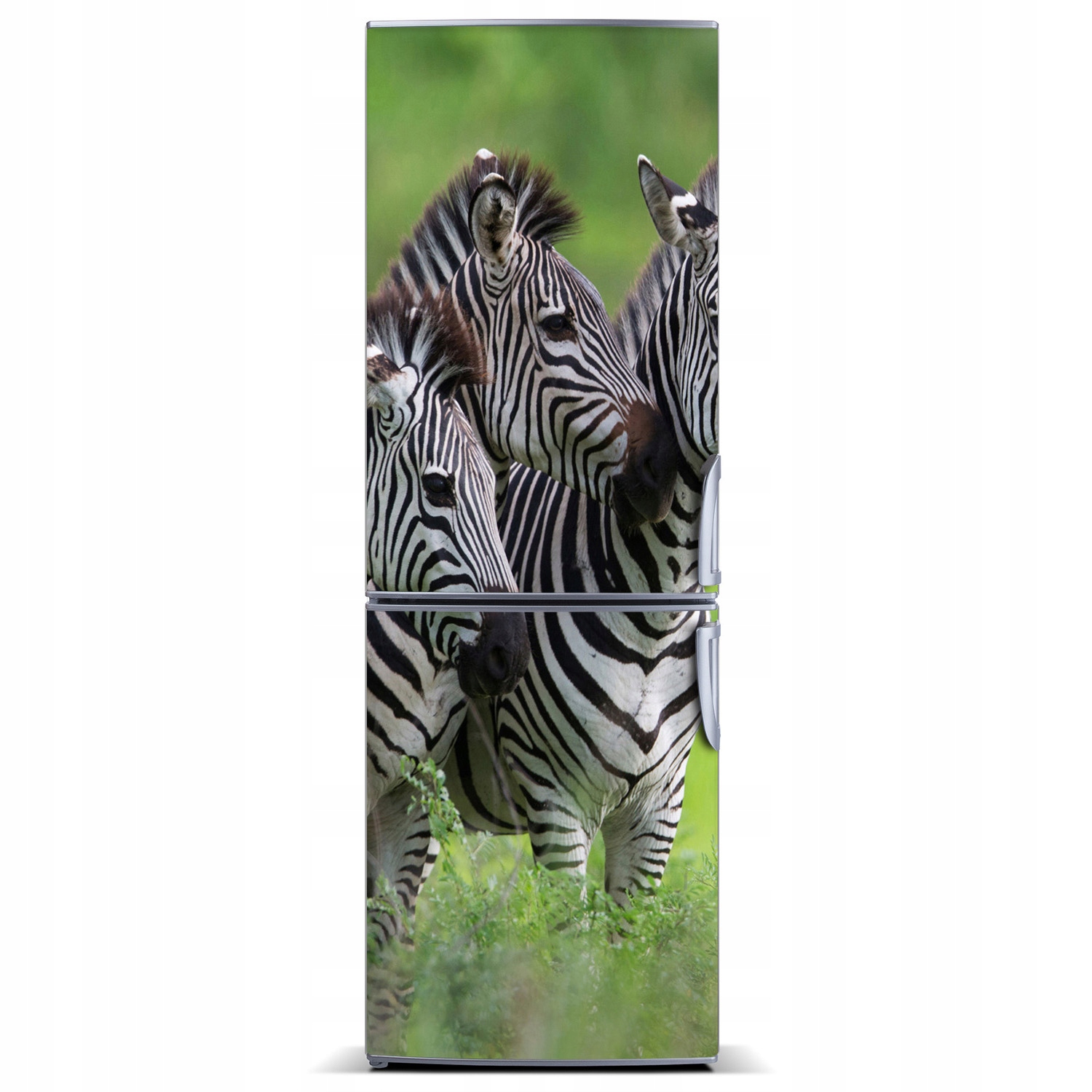 

Mata magnetyczna na lodówkę Trzy zebry 60x180