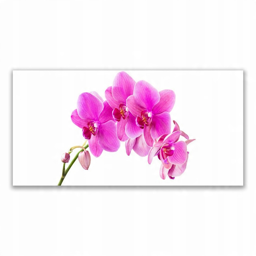 

Obraz akryl wiszący 120x60 Storczyk Kwiat Orchidea