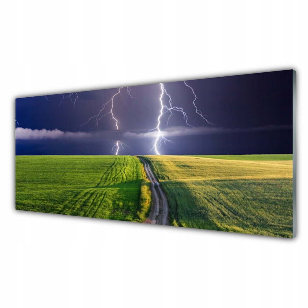 

Fotoobraz akryl 125x50 Pole Błyskawica Krajobraz