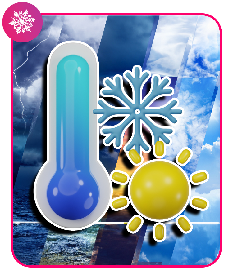 Zestaw monitoringu 4 kamery ZEWNĘTRZNE IP PoE Monitoring 4K 8MPx aplikacja Funkcje aplikacja na telefon detekcja ruchu PoE