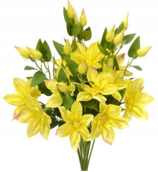 

Klematis powojnik bukiet sztuczny Cytrynowy 12szt.