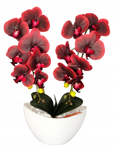 

Storczyk Sztuczny Storczyki Orchidea Kwiat Kwiaty