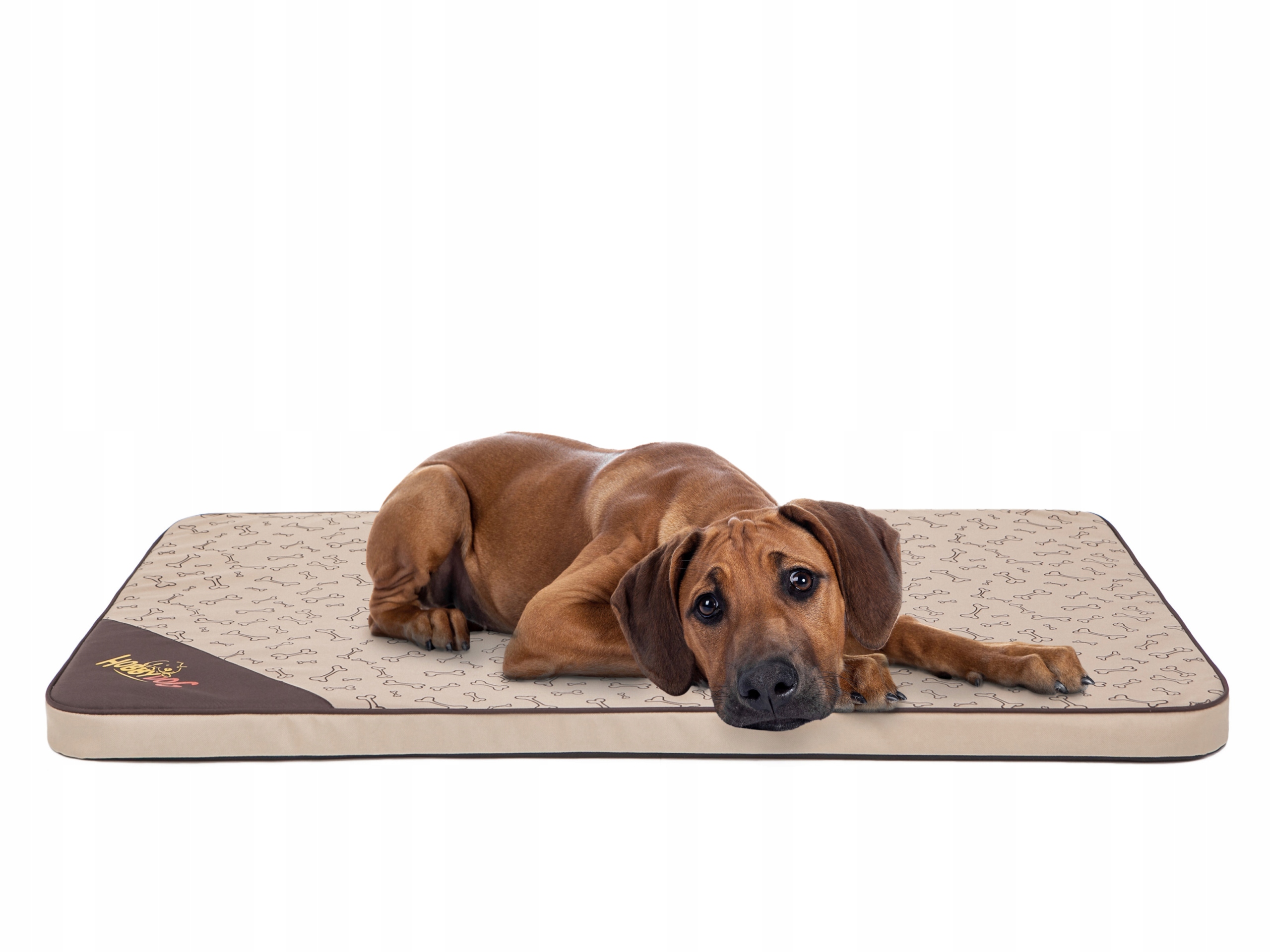 Matrace Light, Pelíšek Postel kotec psa M 80x54 cm