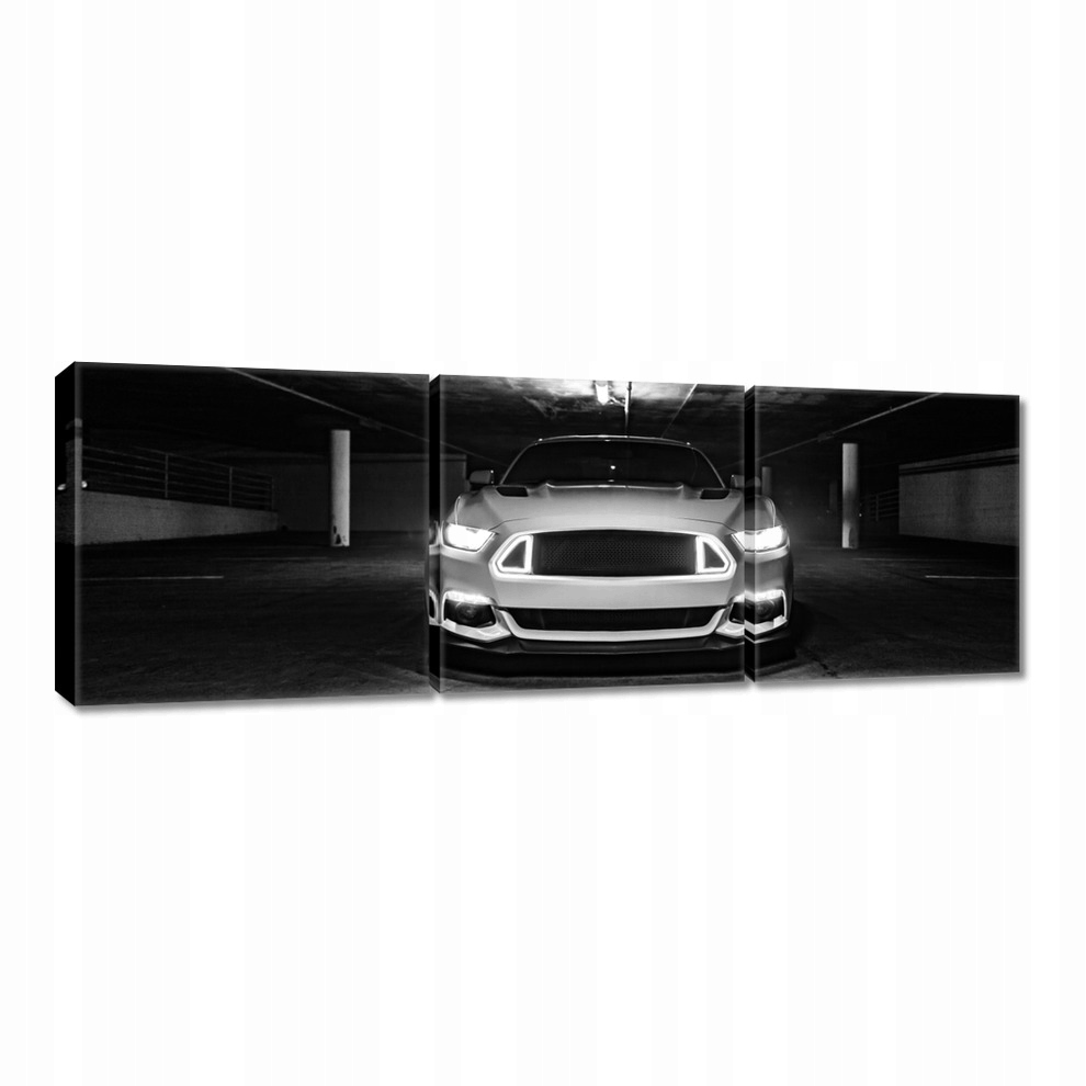 

Obrazy 60x20 Ford Mustang Samochód