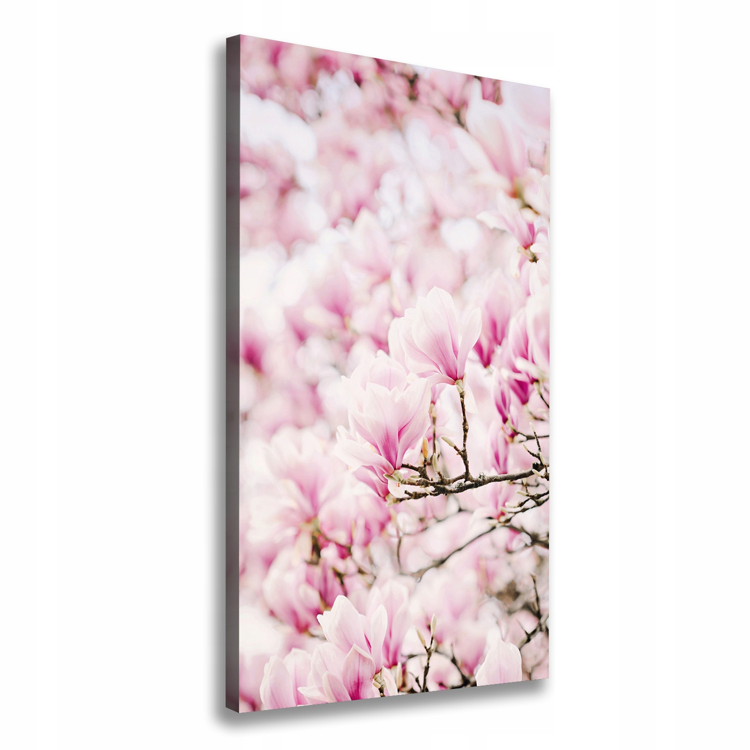 

Foto obraz na płótnie Kwiaty magnolii 60x120 cm